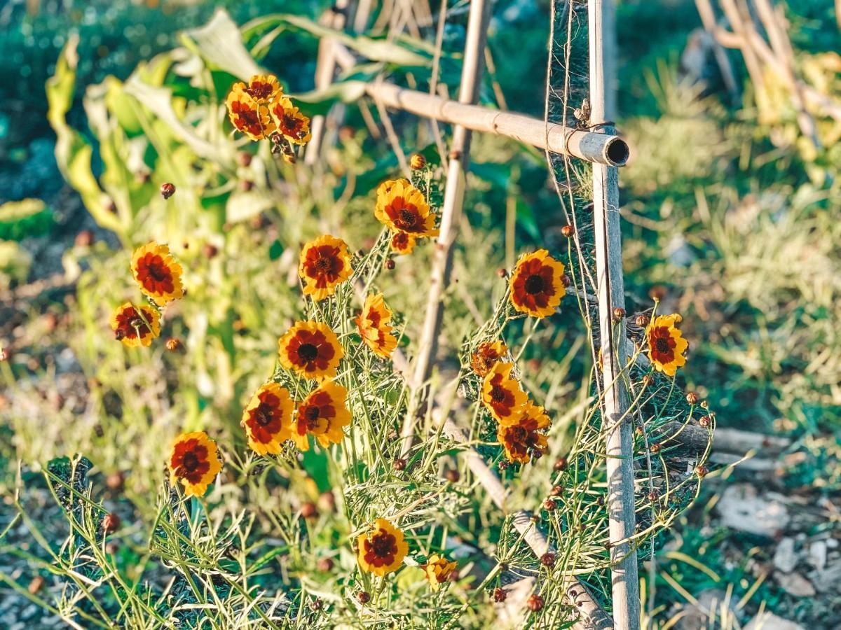 알카세르두살 Be A Guest At Pachamama Community 아파트 외부 사진