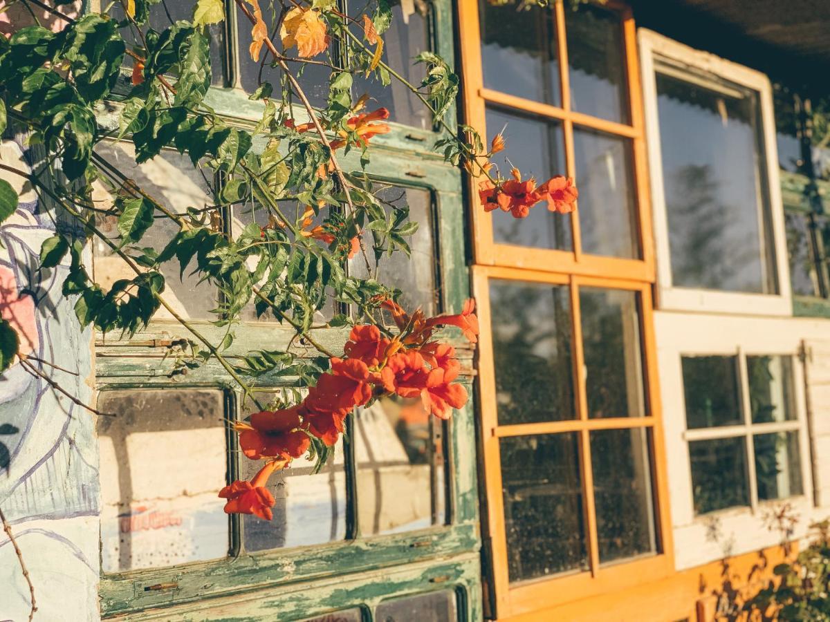 알카세르두살 Be A Guest At Pachamama Community 아파트 외부 사진
